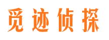 江西市调查取证